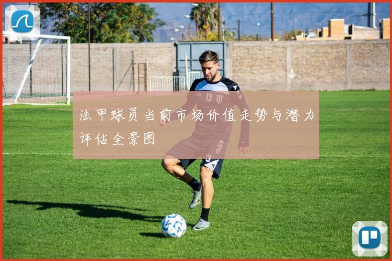 法甲球员当前市场价值走势与潜力评估全景图