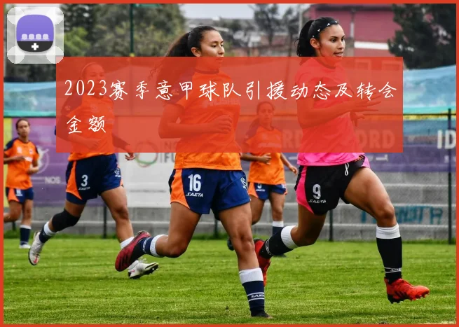 2023赛季意甲球队引援动态及转会金额