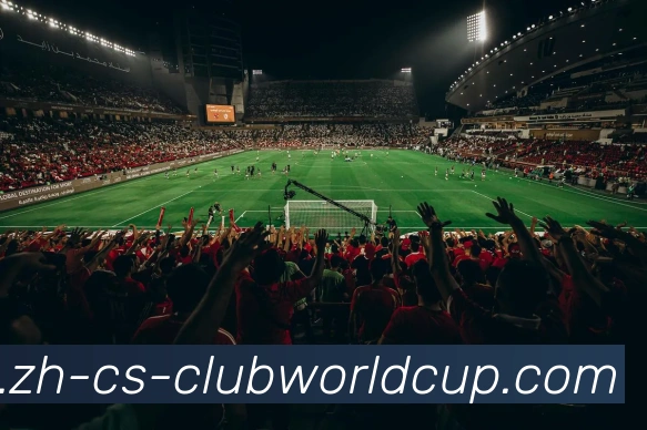 世界杯官网平台生态图