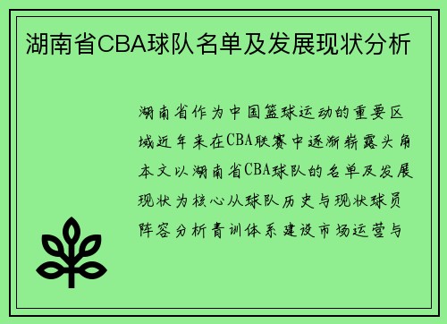 湖南省CBA球队名单及发展现状分析